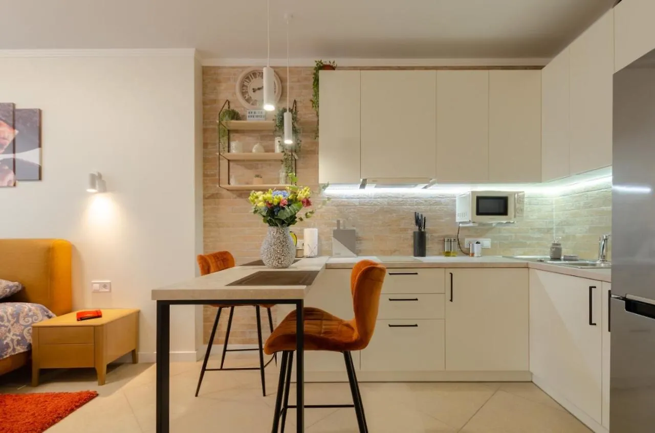 Studia-Classic Apartment Kyiv