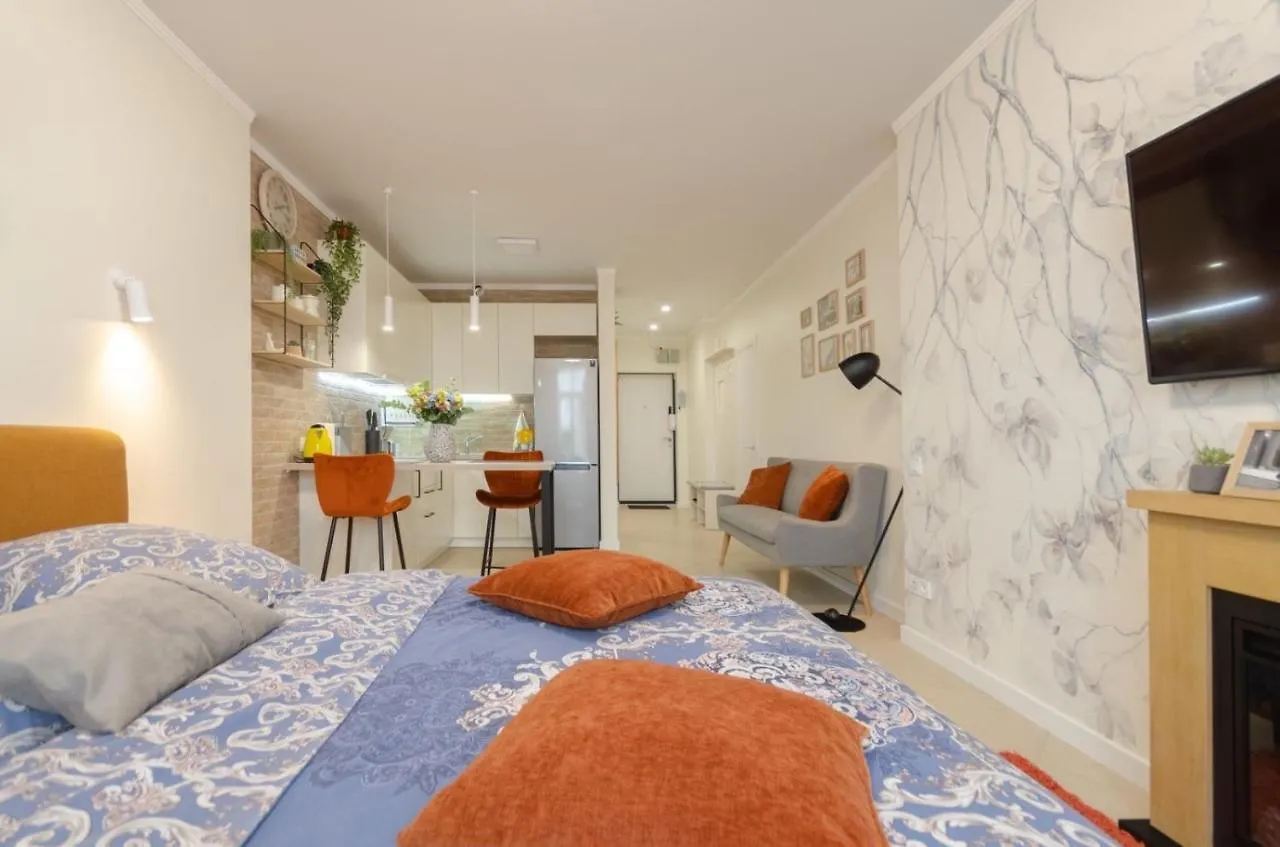 Studia-Classic Apartment Kyiv